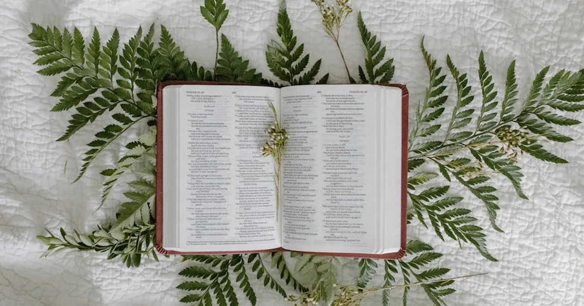 Salmo para alejar el mal de mi casa: Protege tu hogar con la Palabra de Dios