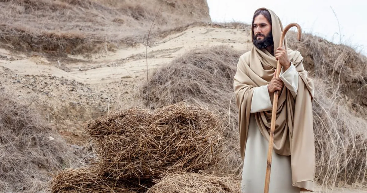 Jesus Cristo: O Caminho, a Verdade e a Vida que Transforma o Coração