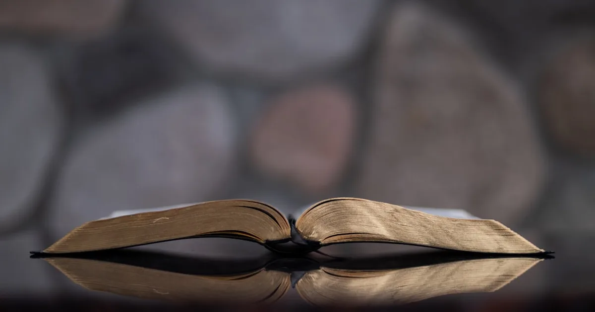 Salmo 21: Força, Proteção e Alegria na Presença de Deus