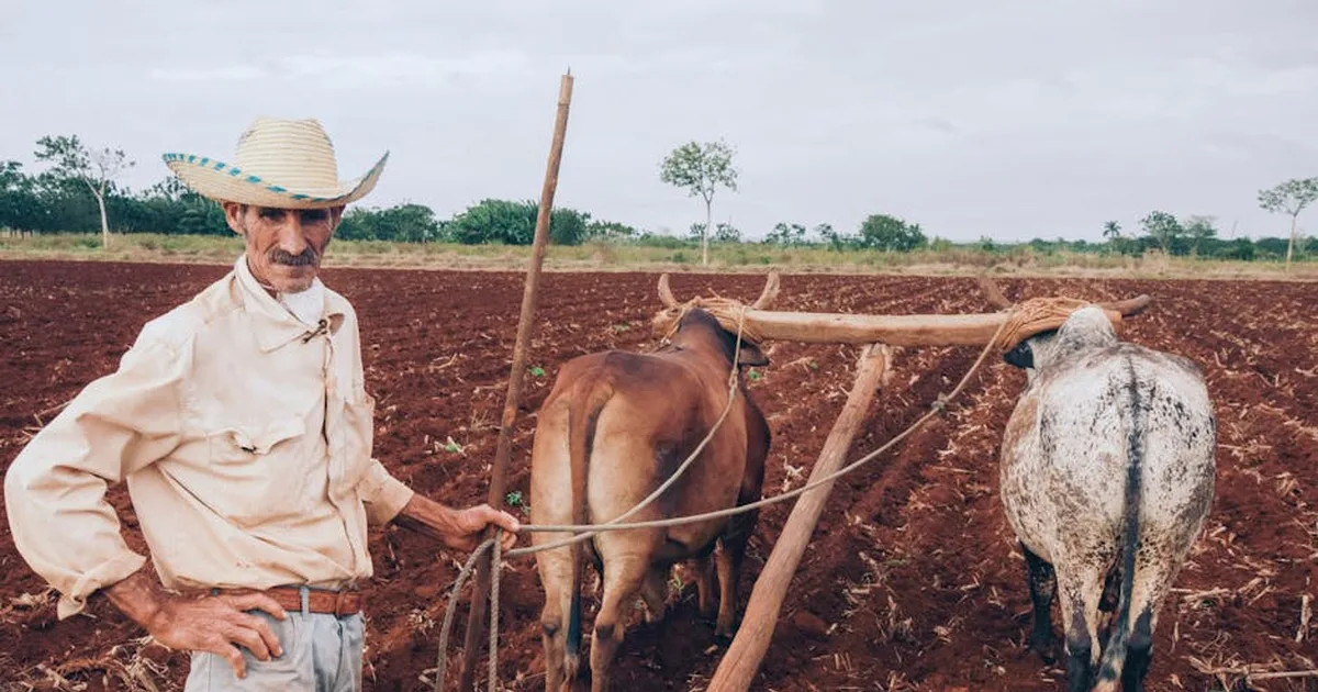 Santidad en la vida diaria: lecciones de un santo labrador