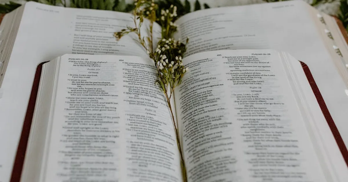 Encouraging Bible Verses for Daily Strength and Hope