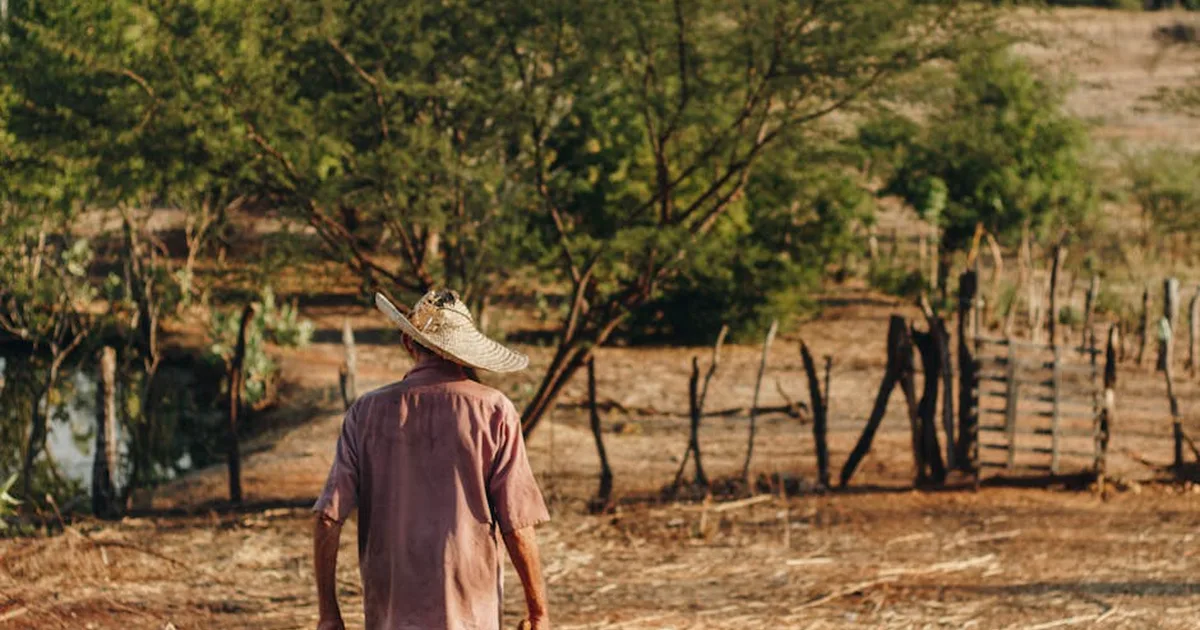 Violência no campo brasileiro: relatório da CPT expõe crise e clama por justiça