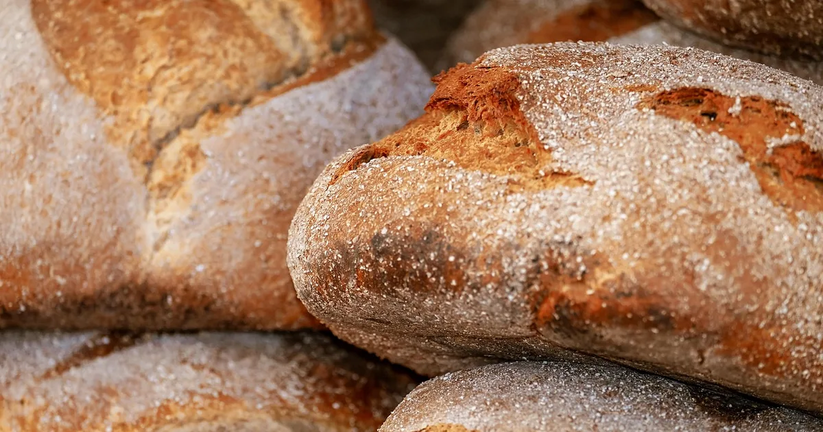 Pão que sobra, fome que aperta: o chamado de Leão XIV para repartir