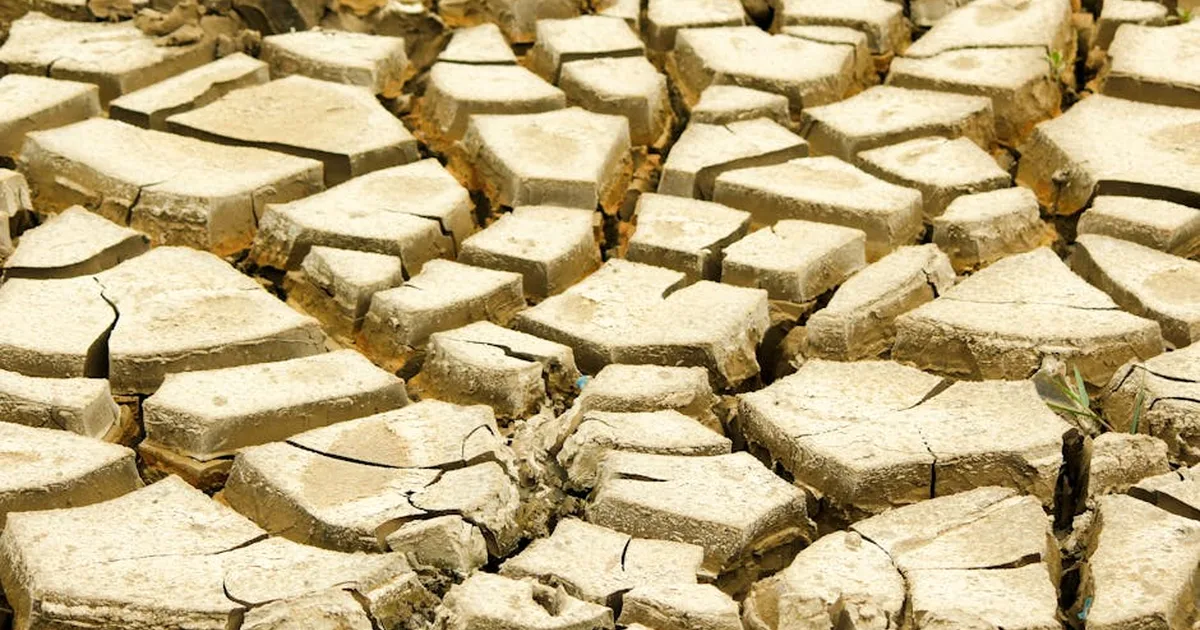 El Niño à Vista: Como as Mudanças Climáticas nos Convidam à Cuidar da Criação