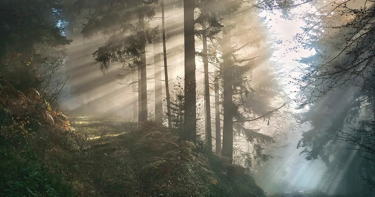 The Forgotten Path to God: Rediscovering Humility