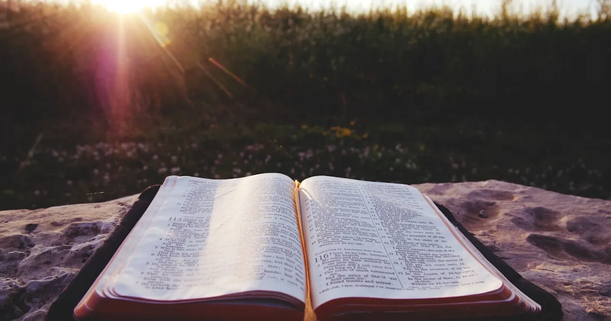How to Read the Bible as One Story: A Guide for Every Christian