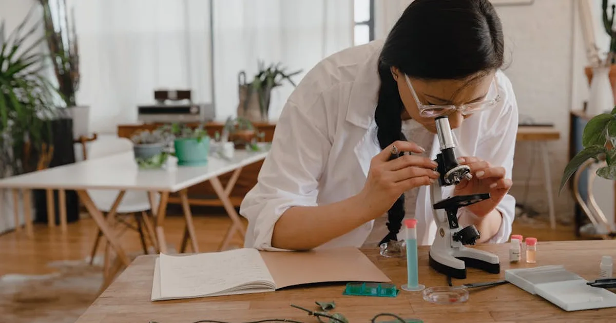 As leis da natureza apontam para Deus? O que a ciência pode aprender com a fé