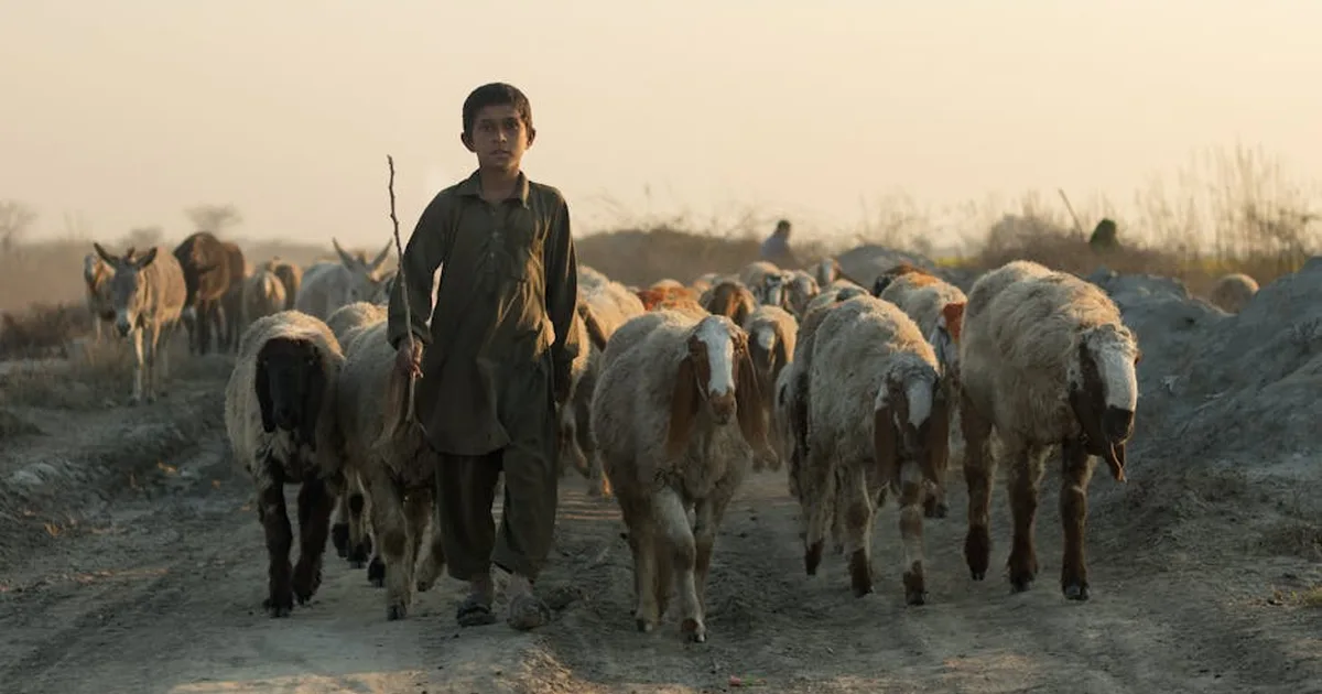 Un anno dopo il conflitto tra India e Pakistan: una riflessione cristiana sulla pace