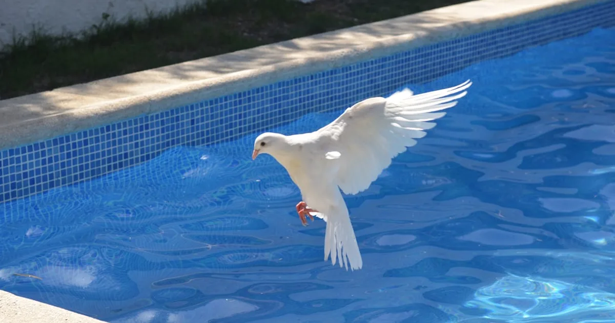 La venida del Espíritu Santo: transformación divina en Pentecostés
