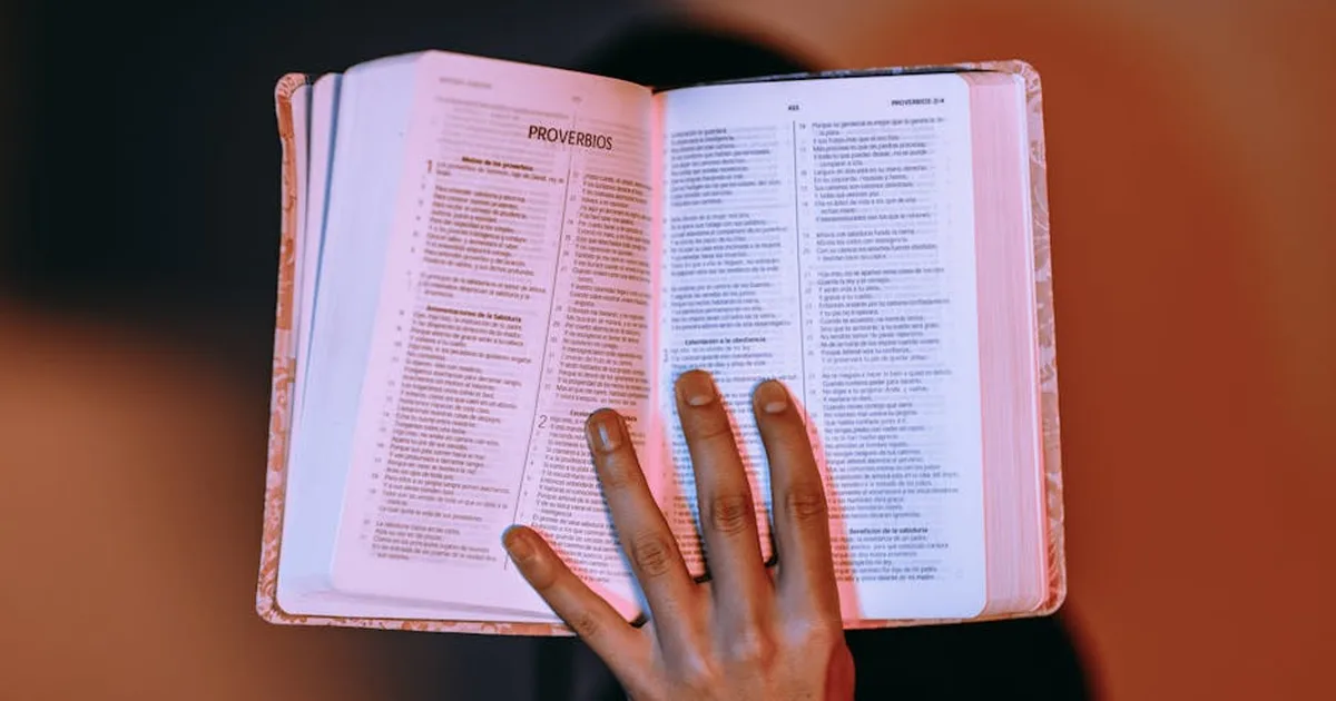 Primícias na Bíblia: O que Provérbios 3:9-10 nos ensina sobre priorizar a Deus