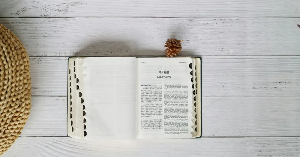 Meditación del Evangelio del Día: Cómo Alimentar Tu Fe con la Palabra