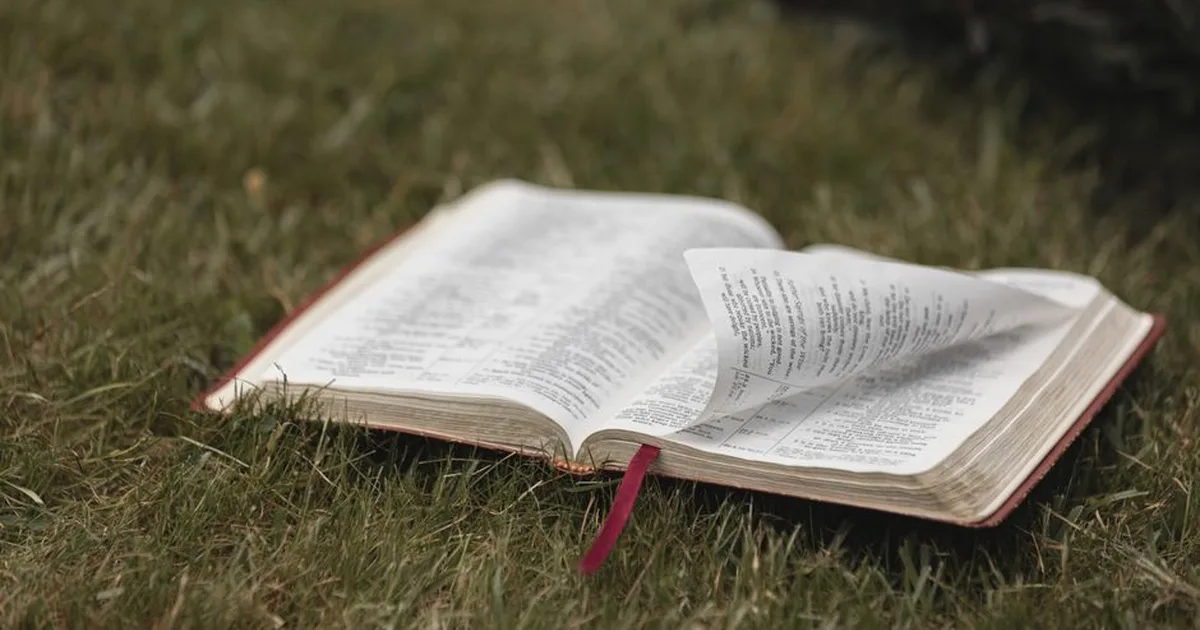 Genesis: God's Love from the Very Beginning