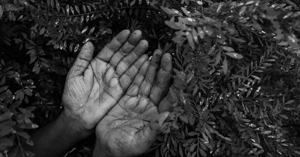 Valentía para construir paz: el rol del cristiano en tiempos de conflicto
