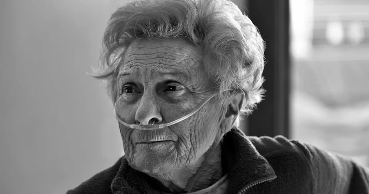 León XIV visita a los ancianos en Argelia: El amor de Dios se revela en la sencillez