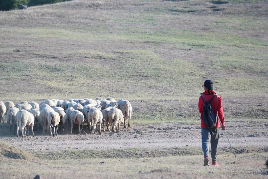 La Fedeltà Pastorale: Un Rifugio Spirituale in un Mondo in Evoluzione