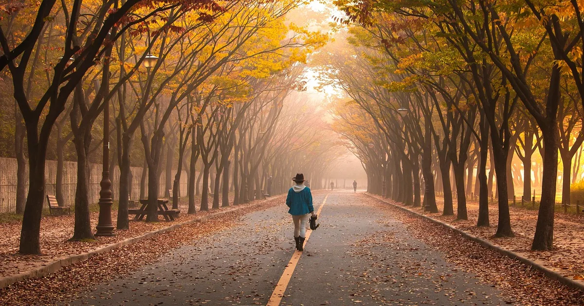 Na Estrada da Vida: Como Jesus Caminha Conosco nos Momentos de Incerteza