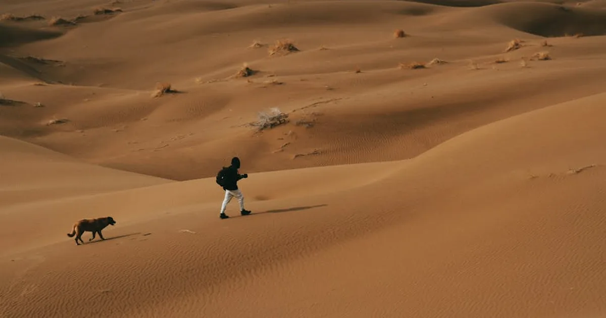 Finding Purpose in Life's Wilderness Seasons: When God Leads Through Dry Places