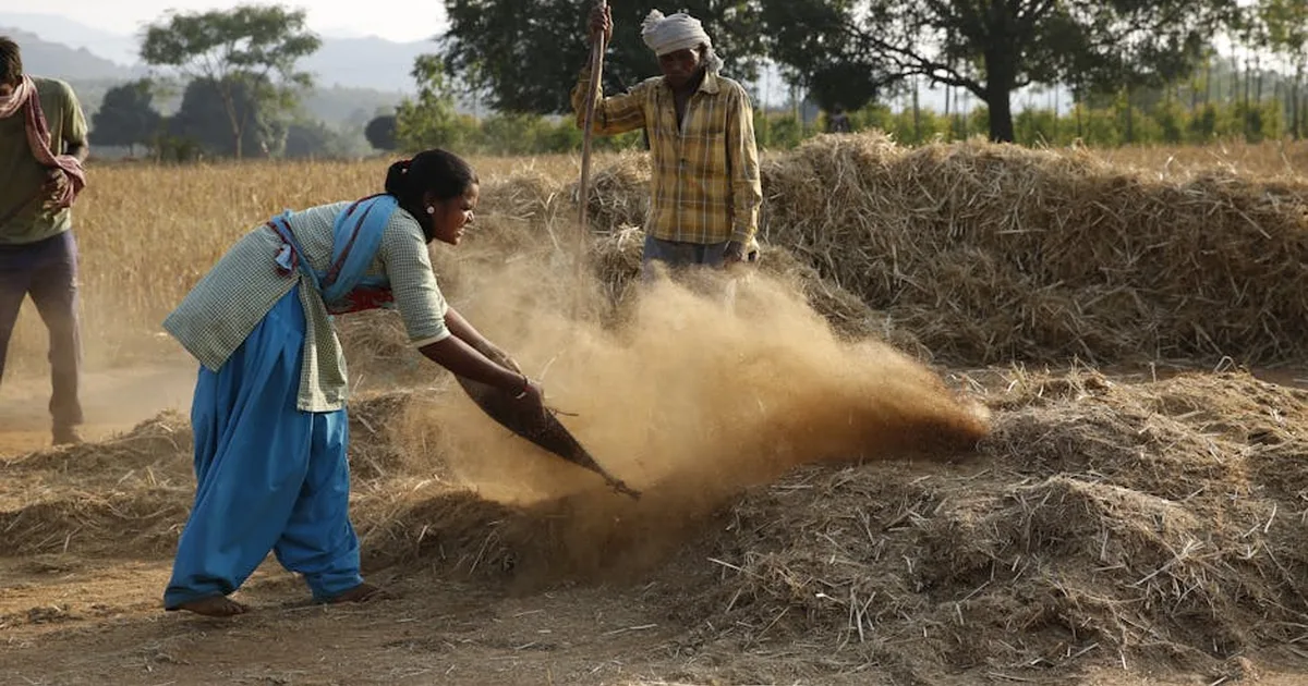 Ruth and Boaz at the Threshing Floor: A Story of Faithfulness and Redemption