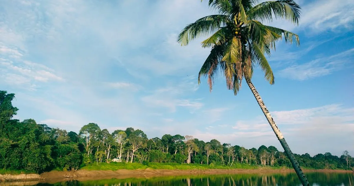 Becoming Wan Abung: When Mission Means Living Among the Dayak People