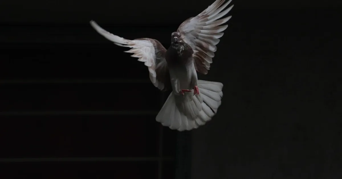 Understanding the Holy Spirit's Filling: A Biblical Guide for Today