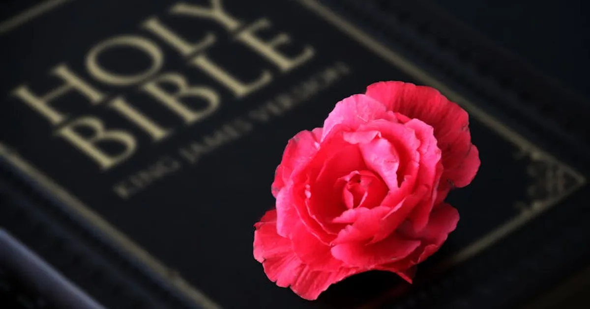 IA y suicidio asistido: ¿qué dice la Biblia sobre la vida y la muerte?