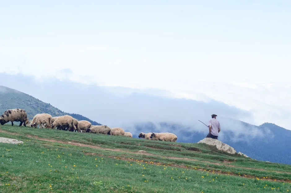 La Fedeltà Pastorale: Un Rifugio per i Credenti in un Mondo che Cambia