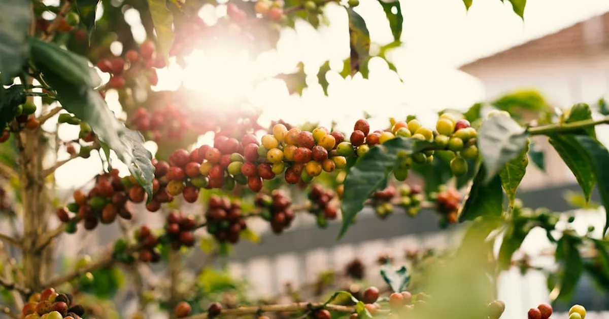 Coffee and Connection: Where Everyday Faith Takes Root