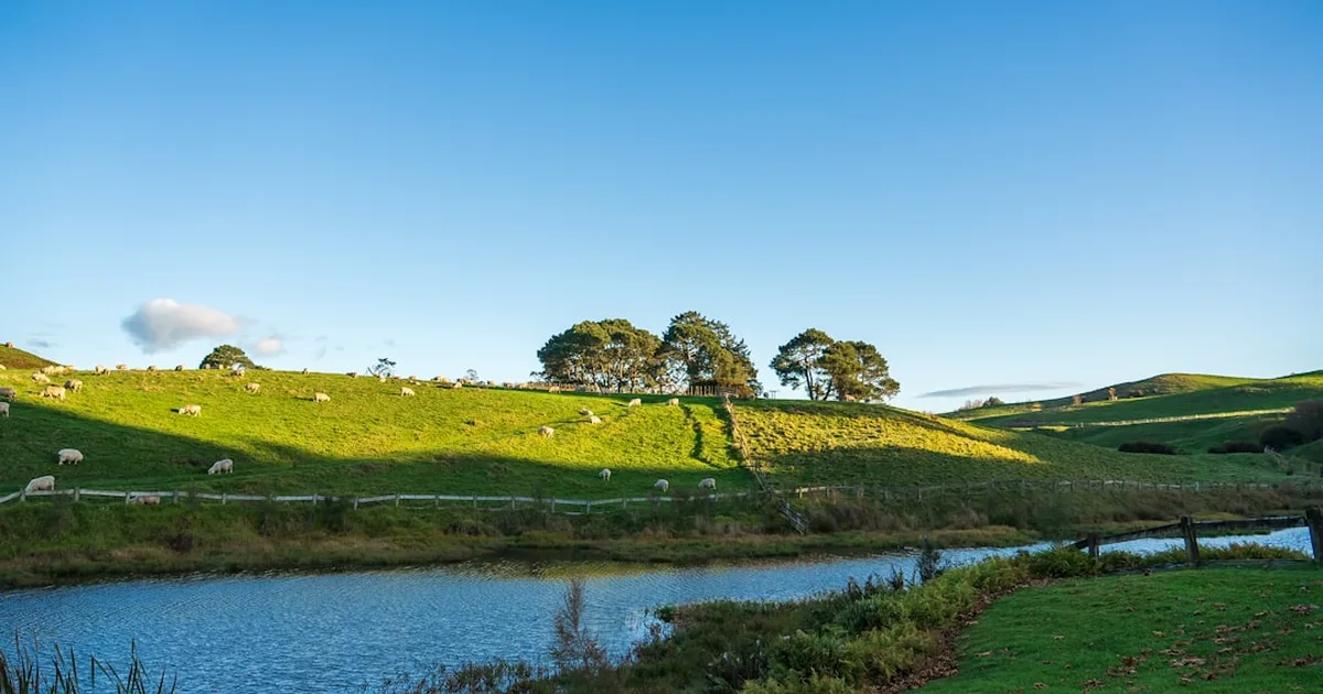 The Lord Is My Shepherd: Finding Peace in Psalm 23:1