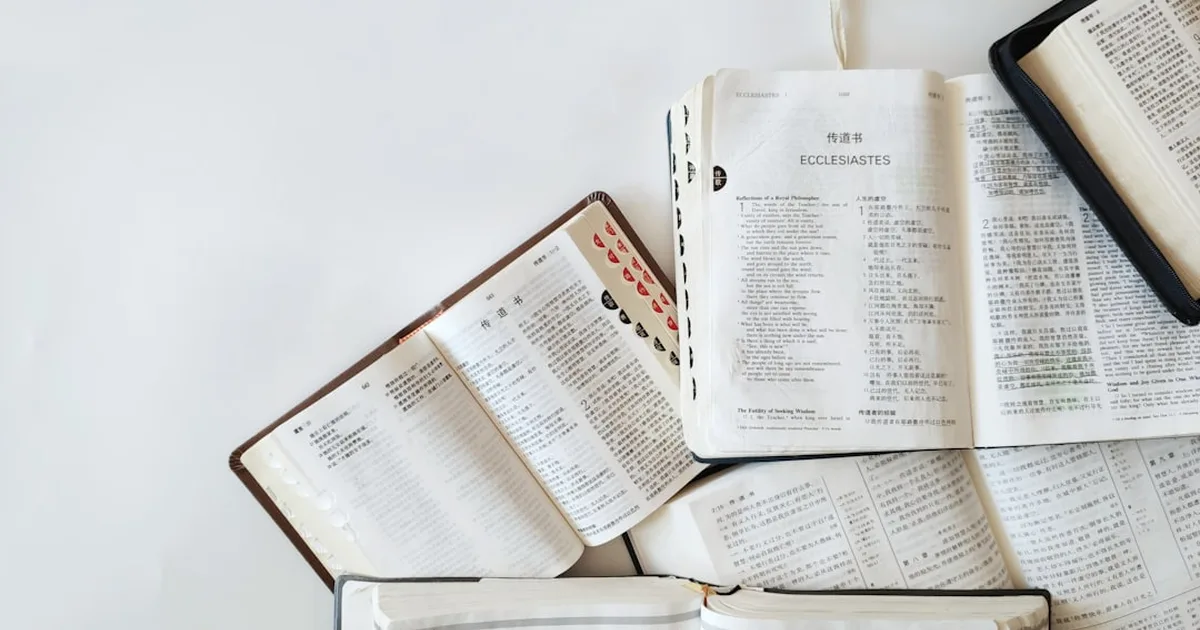 Comprendere i Libri della Bibbia: Una Guida per Lettori Cristiani