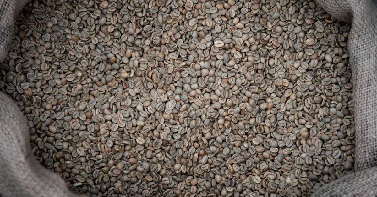 How Churches Can Honor God Through Ethical Food Choices