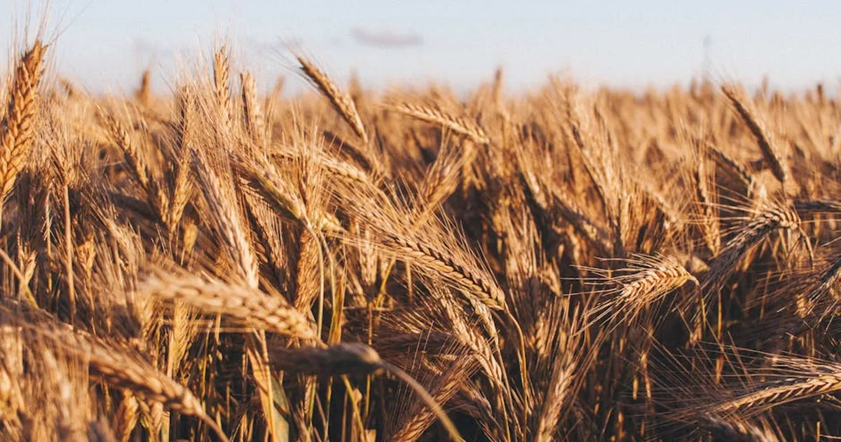 Daily Spiritual Nourishment: Building a Life of Intentional Growth