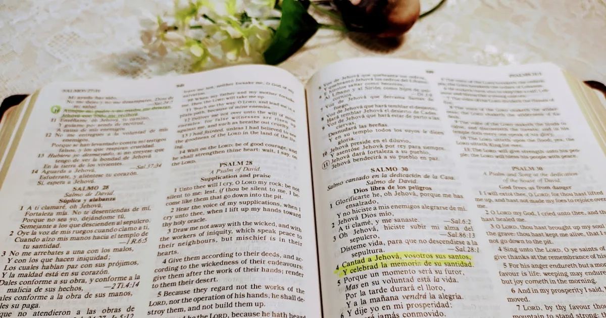 La Biblia y la Guerra: Una Guía Cristiana para la Paz en Tiempos de Conflicto