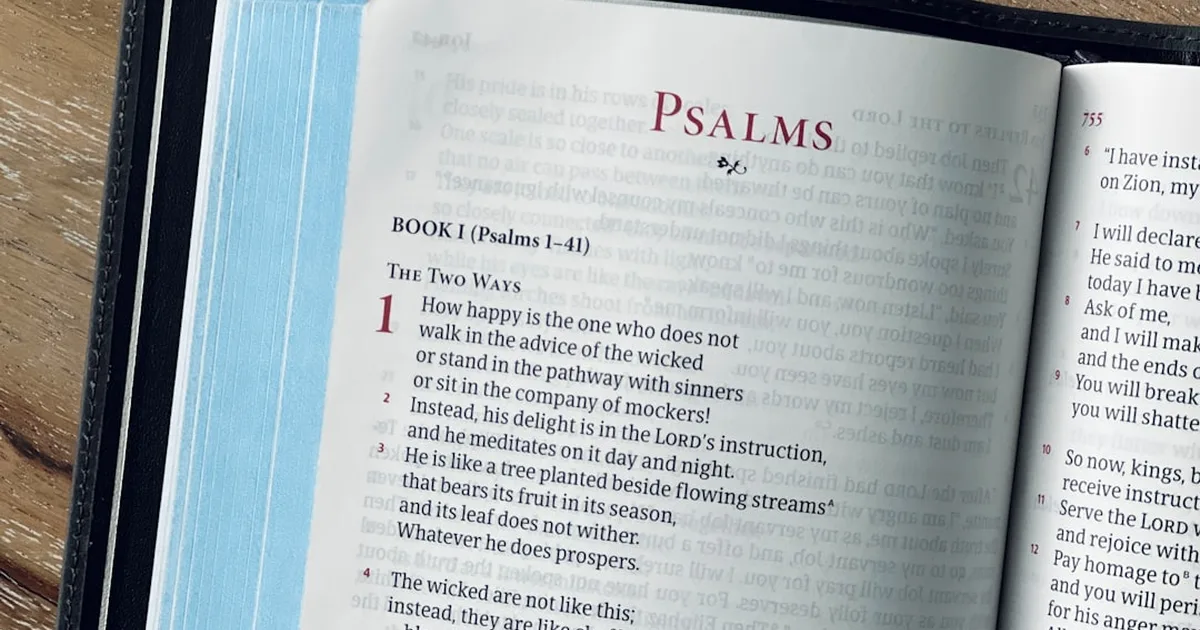 Salmo para que todo salga bien: Confía en Dios en cada situación