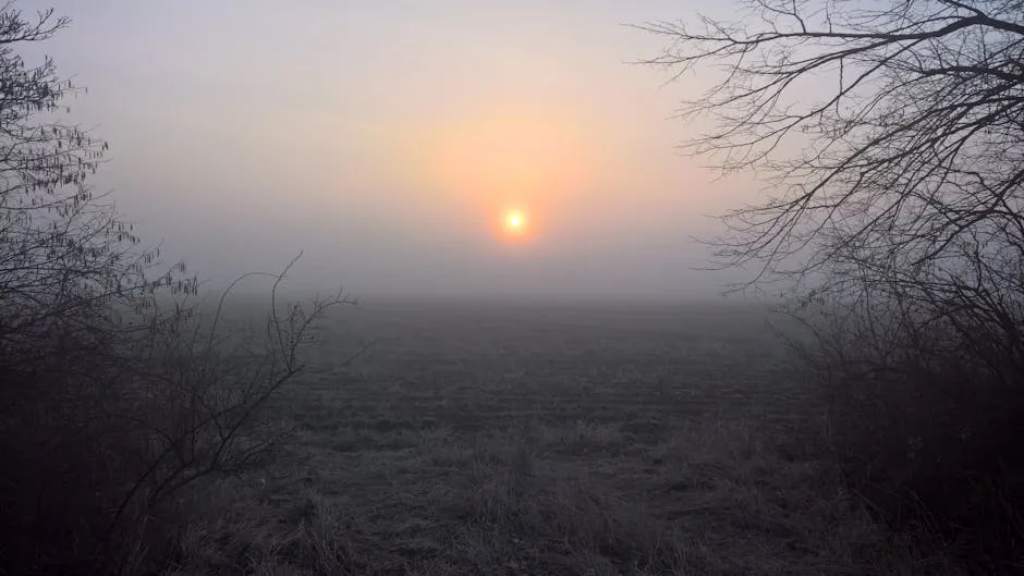 Beyond the Grave: What Scripture Teaches Us About Christian Hope and Eternity