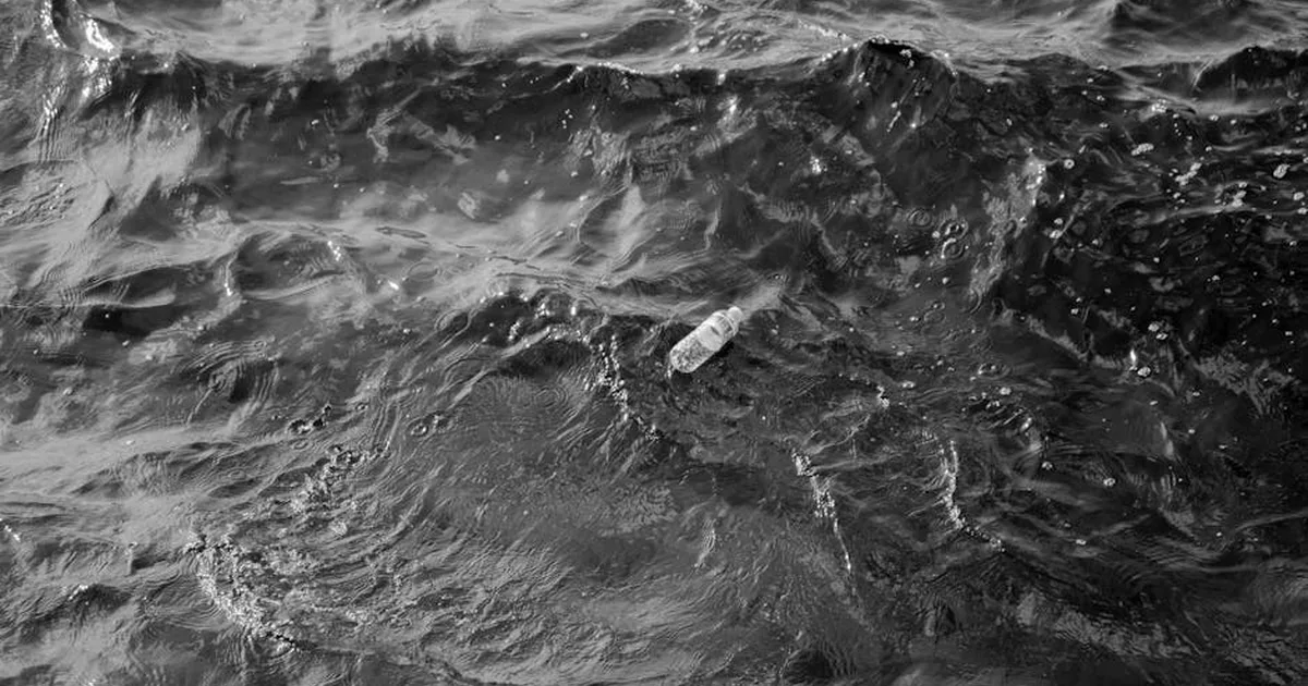 Crisi nello Stretto di Hormuz: Una Sfida Globale e un'Opportunità per la Cura del Creato