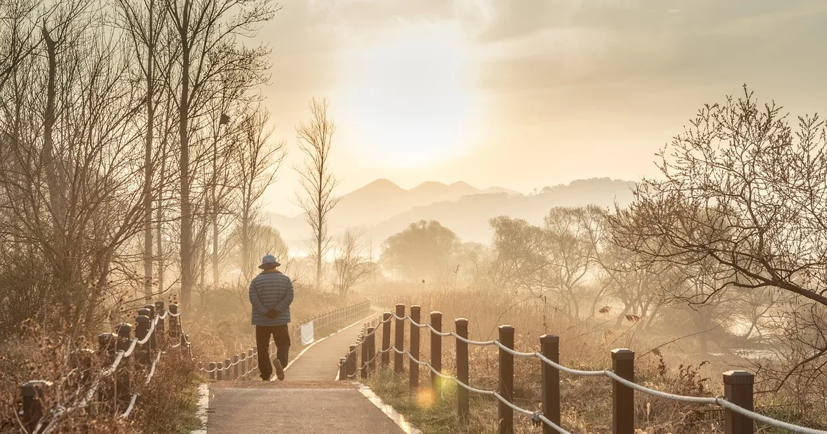 Jesus: o caminho que nos leva a Deus — meditação para o 5º domingo da Páscoa