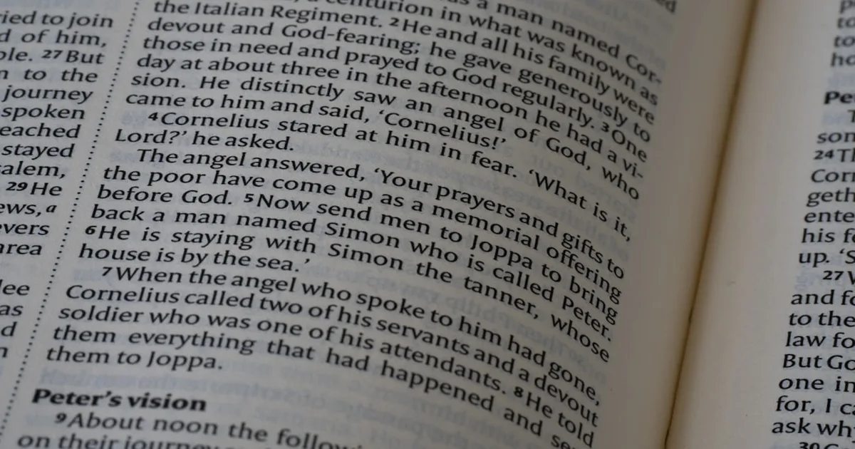 What Does the Bible Say About War? A Christian Guide to Peace and Conflict