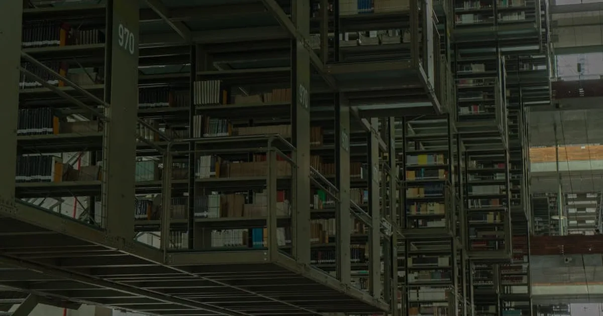 Como Bibliotecas Públicas de BH Estão Transformando Vidas com Leitura
