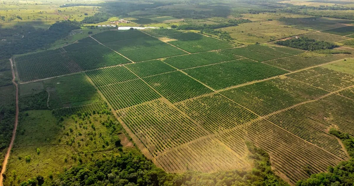 Violencia en el campo latinoamericano: el informe de la CPT denuncia una crisis y clama por justicia