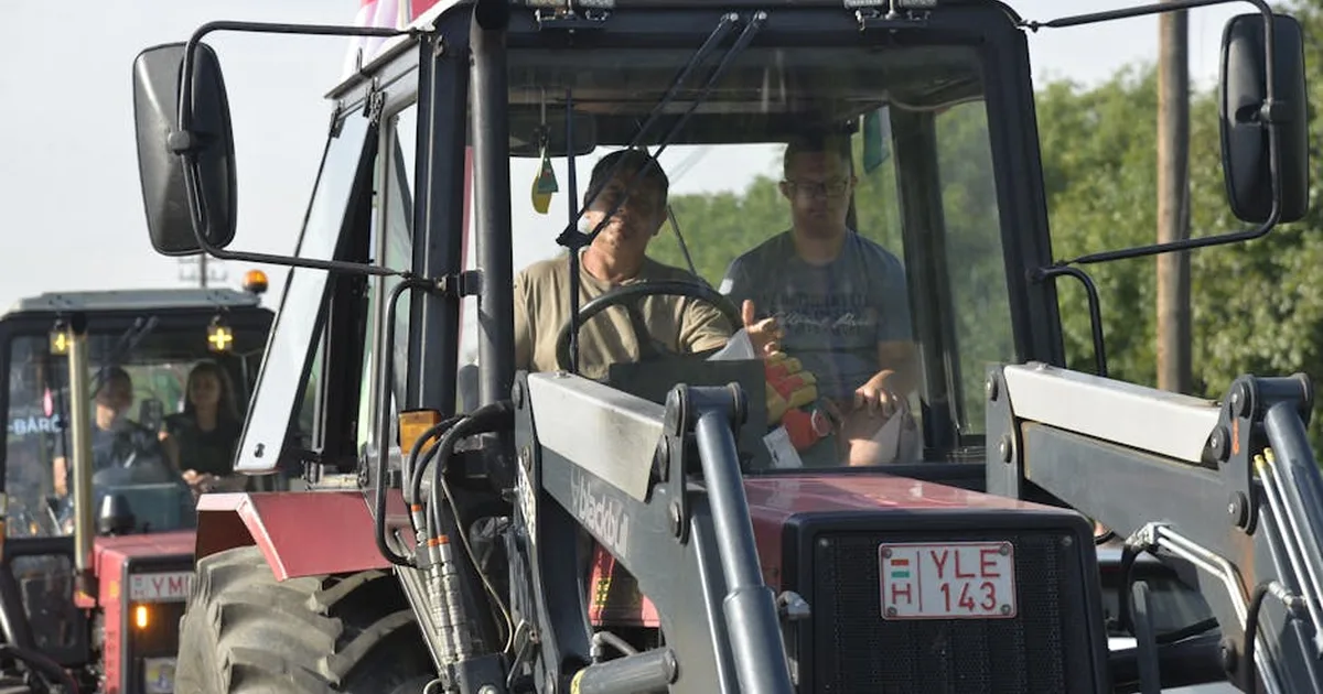 From Mississippi Fields to New Beginnings: A Farmer's Heart for Ukrainian Refugees