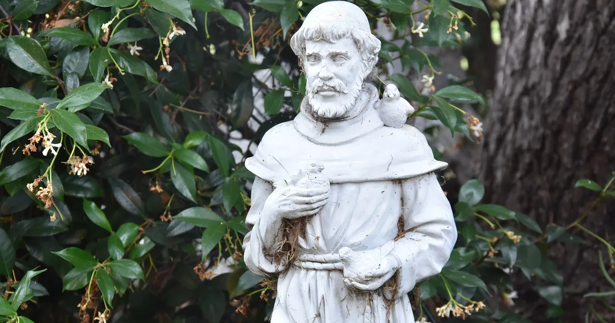 Oração de São Francisco: Um Instrumento de Paz no Dia a Dia