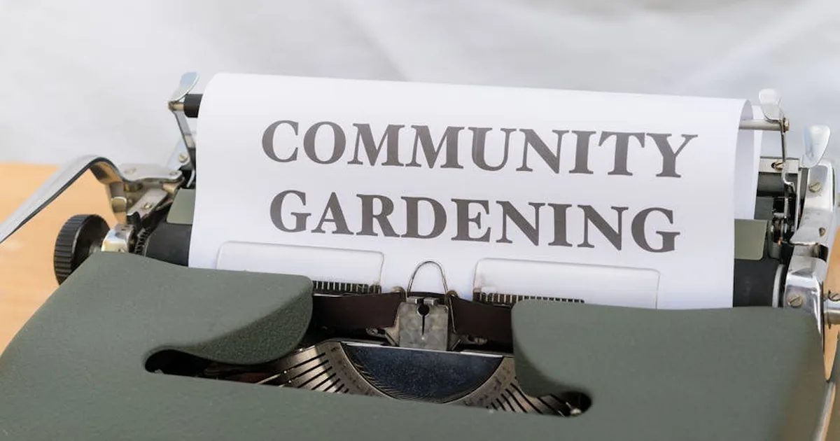 How Churches Can Lead the Way in Environmental Stewardship