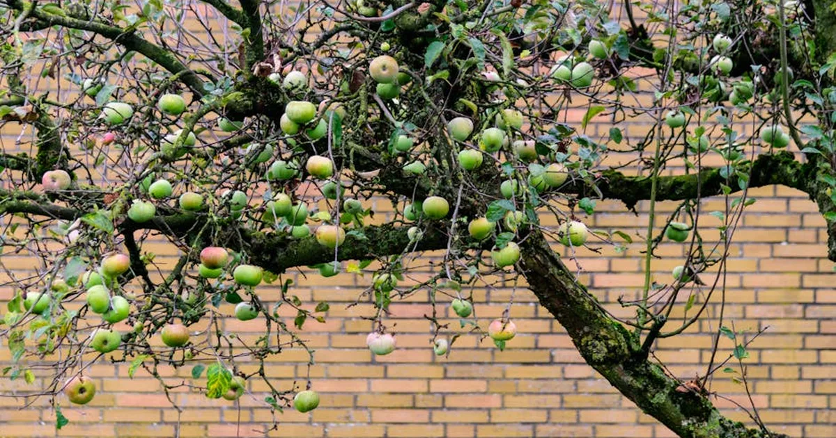 Adán, Eva y el Jardín del Edén: El inicio de nuestra historia