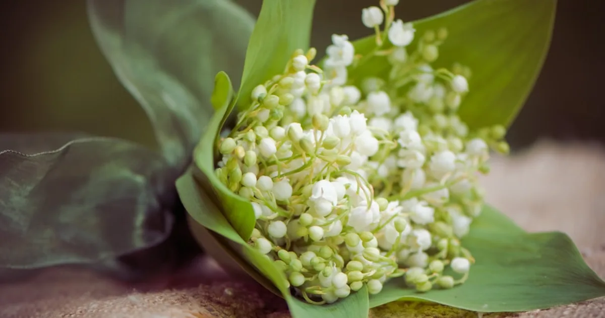 May Day Reflections: A Christian Perspective on Work, Rest, and French Traditions