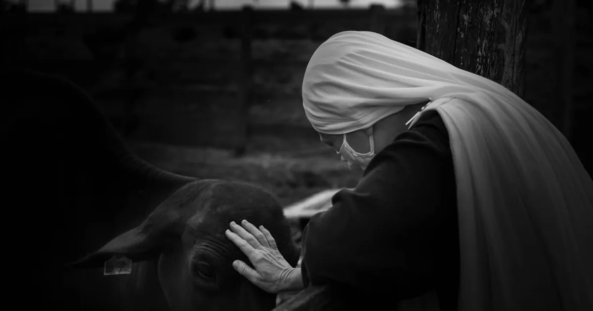Madre Teresa: Una Vita di Fede e Servizio