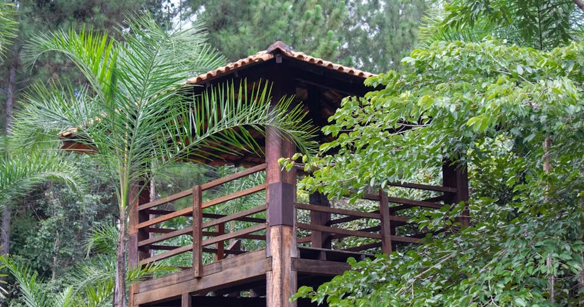Bispos brasileiros refletem sobre coragem e serviço em retiro espiritual da CNBB