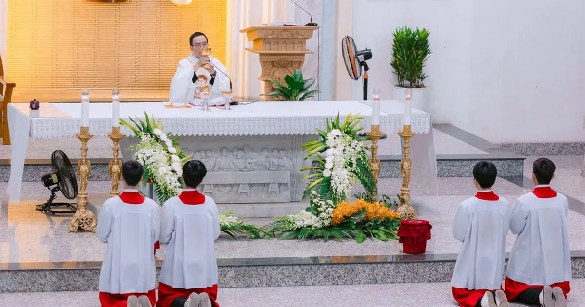 Gemelos sacerdotes: cómo la fe y el trabajo en el campo forjaron su vocación