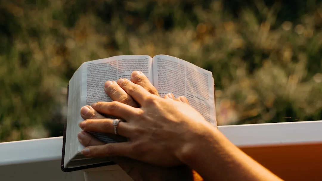 Alegria que Transborda: Como o Amor Perfeito de Deus Nos Conduz à Plenitude Verdadeira