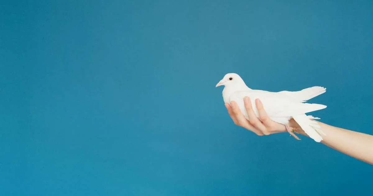 El Espíritu Santo: Tu compañero divino y guía personal