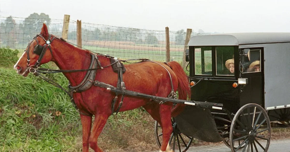 Die Amish: Ein Leben in Demut und bewusster Einfachheit als christliche Berufung